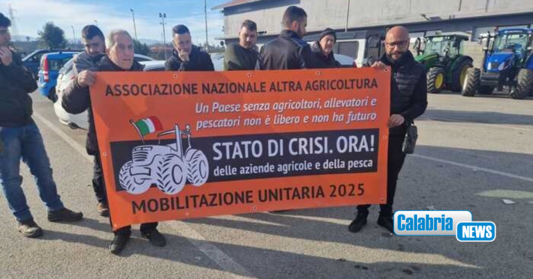 Protesta agricoltori in Calabria, trattori a Rosarno e nel Crotonese: chiediamo più attenzione
