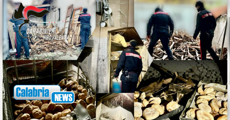 Vibo Marina, Asp sospende attività panificio ma titolare continua a lavorare: denunciato