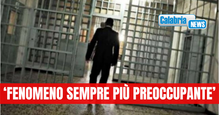 Vibo Valentia: detenuto aggredisce in carcere due infermieri, la denuncia dei sindacati