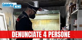 Operazione dei Carabinieri contro furti di energia, falegnamerie abusive e rifiuti pericolosi