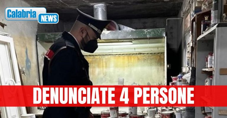 Operazione dei Carabinieri contro furti di energia, falegnamerie abusive e rifiuti pericolosi