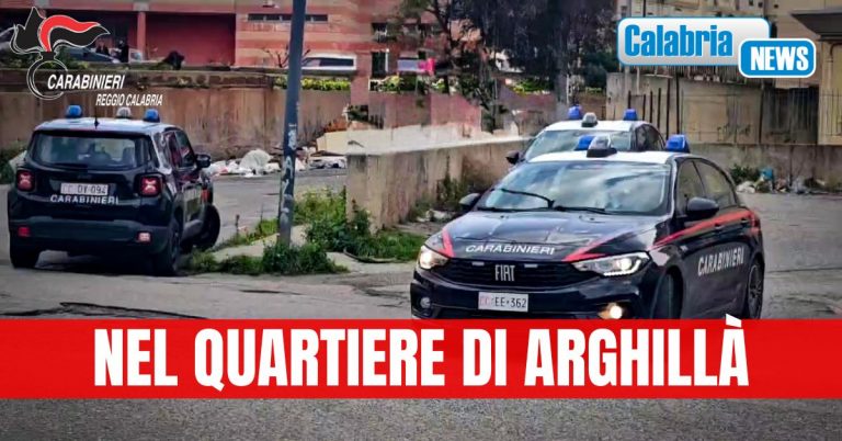 Viola le prescrizioni del Giudice: Pregiudicato arrestato dai Carabinieri