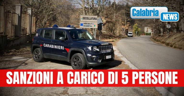 Decollatura (CZ): Controlli dei Carabinieri sulla corretta detenzione di animali domestici