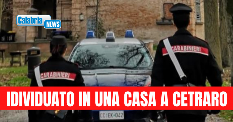Arrestato Luca Occhiuzzi, era latitante da oltre due anni: è accusato di tentato omicidio
