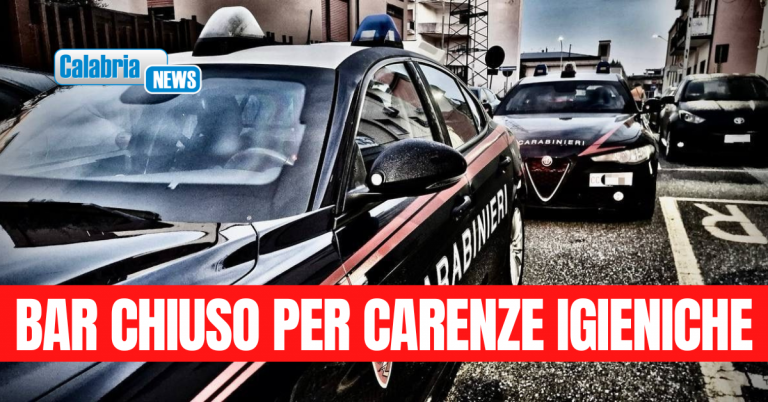 Servizi ad “Alto Impatto” dei Carabinieri nel Vibonese: denunce per armi, munizioni e stupefacenti