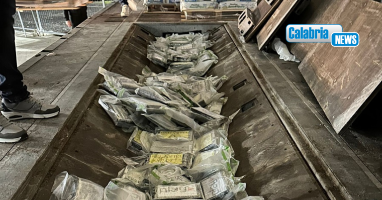 VIDEO-In camion sulla A2 con 137 kg di cocaina purissima: 40enne di Polistena arrestato dalla Polstrada