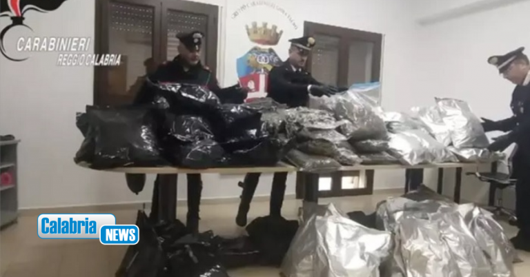 VIDEO-Gioia Tauro, sequestrati 80 chili di marijuana nascosti sottoterra e 15 chili di esplosivi