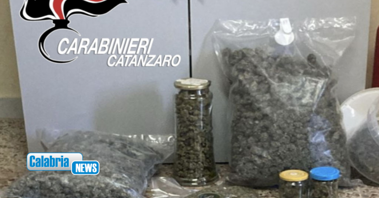 Maida, detenzione e spaccio di sostanza stupefacente: Carabinieri arrestano 25enne