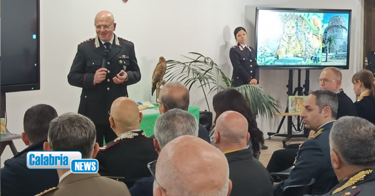 Reggio Calabria, presentato dai Carabinieri Forestale il bilancio dell’attività 2024 in Calabria