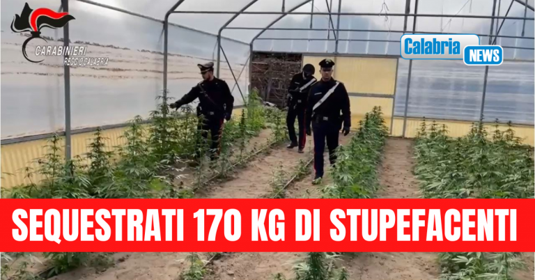VIDEO-Reggio Calabria, smantellata una “fabbrica” della droga con 1800 piante di marijuana