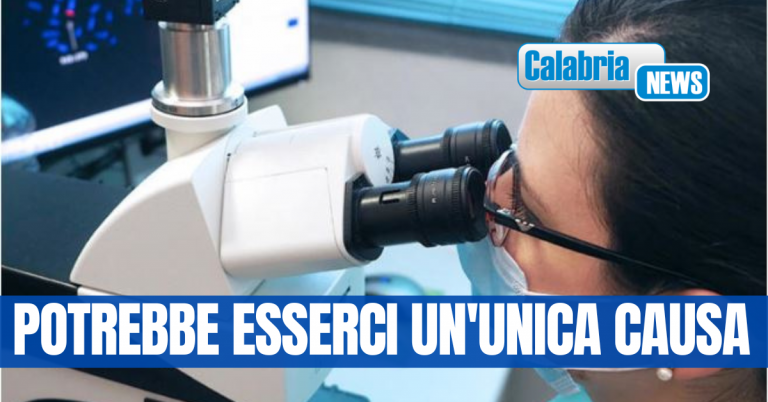 Un guasto cellulare origine di tutti i segni della malattia: da ricercatori Usa nuova luce sull’Alzheimer