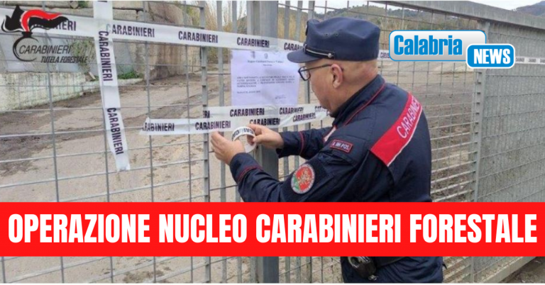 Scalea, rifiuti speciali pericolosi e non miscelati tra loro: sigilli al centro raccolta di rifiuti del Comune