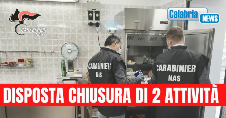 Controlli del NAS sulla ristorazione: Sequestrati quasi una tonnellata di alimenti