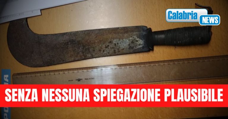 Controlli serrati nel Vibonese: soggetto trovato in possesso di roncola