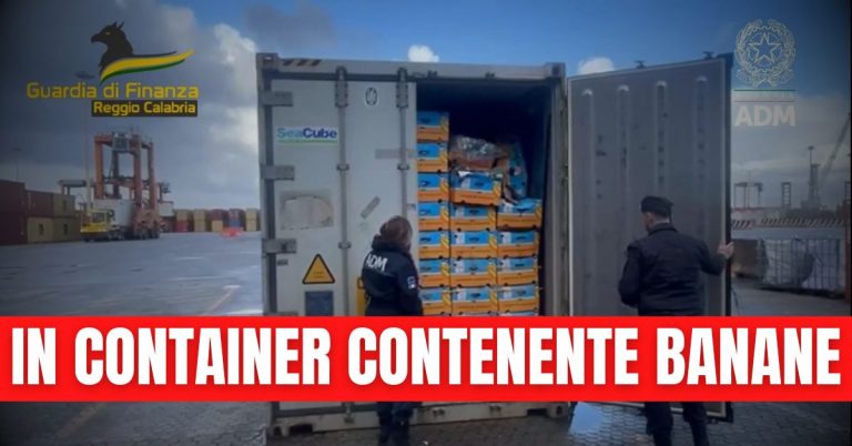 VIDEO-Sequestro di 27 kg di cocaina presso il Porto di Gioia Tauro