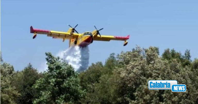 VIDEO-Falerna, incendio a monte del centro abitato: in azione Vigili del fuoco e due Canadair