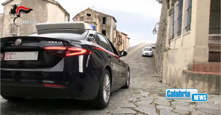 La cuccia del cane per nascondere fucile e munizioni: arrestati padre e figlio nel Vibonese