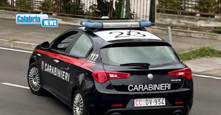 Blitz antidroga nel Cosentino: due arresti, sequestrati oltre 750 grammi di cocaina
