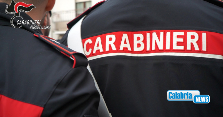Gioia Tauro, cane denutrito e malato salvato dai Carabinieri: denunciato il proprietario