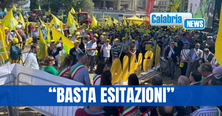 Coldiretti Calabria: emergenza cinghiali fuori controllo, serve completa attuazione piano straordinario