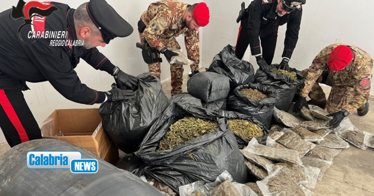VIDEO-Sequestrati nel reggino 30 kg di marijuana e 45 di canapa: arrestato un 35enne