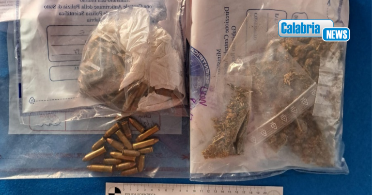 Detenzione di armi e droga: grazie all’applicazione ‘Youpol’ arrestato un uomo nel reggino
