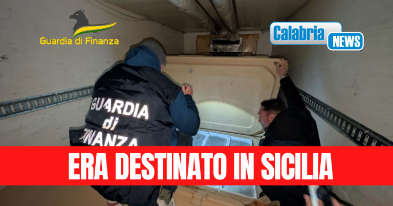 VIDEO-Maxisequestro di novellame di sarda non commestibile: in un tir 1,5 tonnellate di pescato