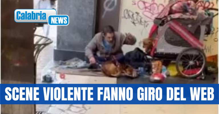 Correlazione fra maltrattamento di animali e altre condotte devianti….di Catia Pulice