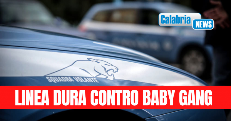 Serra San Bruno: Questore Vibo Valentia emette dieci Avvisi orali e dieci “Daspo Willy”