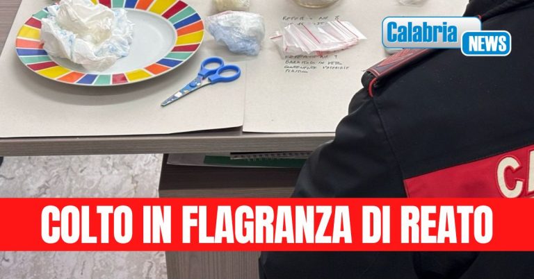 Perquisizioni domiciliari per accertamento di stupefacenti e armi: arrestato 41enne lametino
