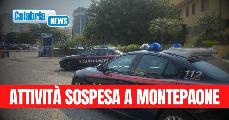 Cibo scaduto e lavoro nero: Carabinieri sanzionano titolare di un negozio di ortofrutta