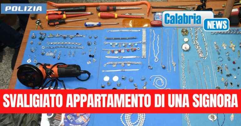 Fermati 3 Cittadini Georgiani irregolari per furto aggravato