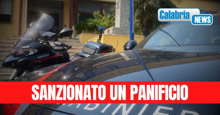 Intensificate le ispezioni sul territorio per prevenire la vendita di alimenti pericolosi