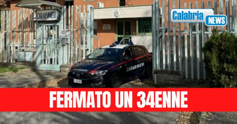 Reggio Calabria: Azione dell’Arma nel contrasto dei reati ambientali e contro il patrimonio