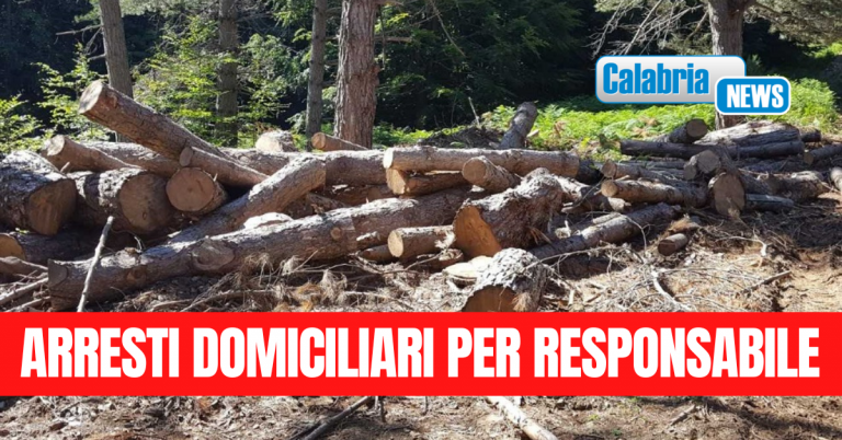 Furto aggravato di legname e gestione illecita di rifiuti nel Parco Nazionale d’Aspromonte