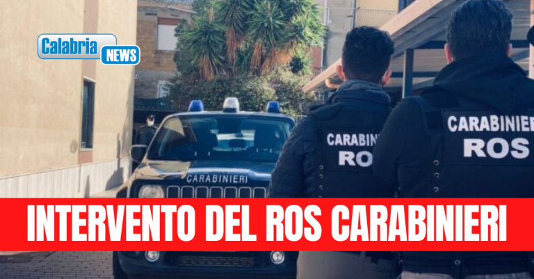 Traffico stupefacenti: confiscati oltre 600mila euro a 3 fratelli imputati per associazione a delinquere