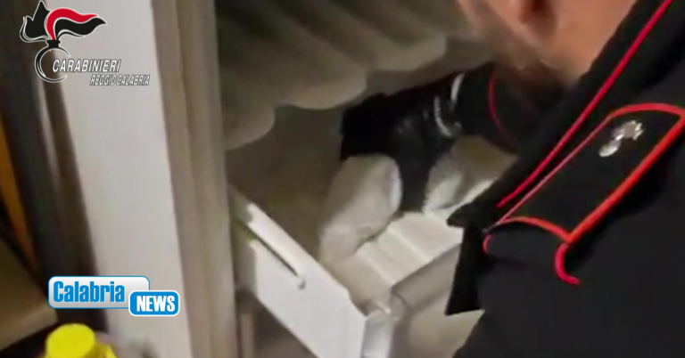 VIDEO-Cinquefrondi, armi clandestine e munizioni nel freezer: arrestato cacciatore