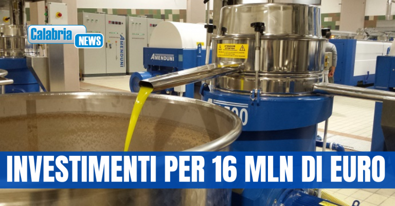 Dalla Regione risorse del Pnrr destinate all’ammodernamento dei frantoi
