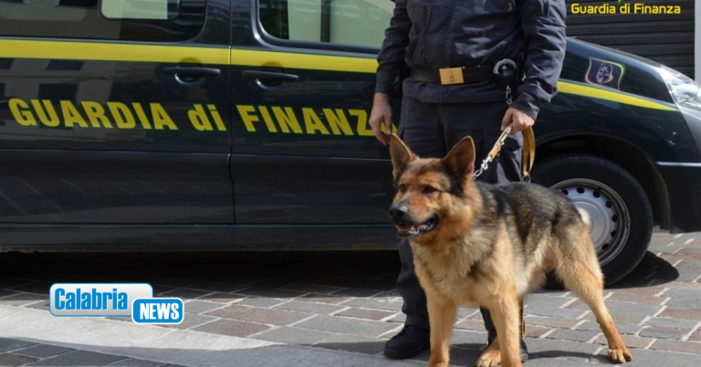 Cosenza, in auto con oltre un chilo di cocaina nascosto sotto sedile passeggero: arrestato giovane