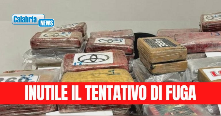 Auto con 145 chili di coca, arrestato portuale di Genova: droga destinata a cosca calabrese Alvaro