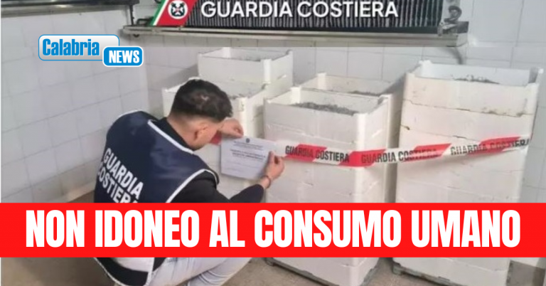 Cirò Marina, Guardia costiera sequestra quasi 2 quintali di novellame di sardina
