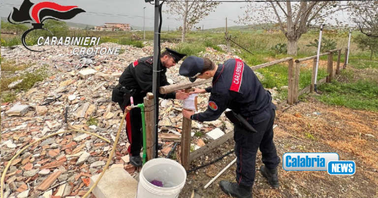 Crotone, Carabinieri sequestrano discarica abusiva di rifiuti: denunciato un 62enne