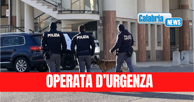 Si avvicina per accarezzarlo ma il cane l’azzanna: bambina ferita al volto e al braccio a Crotone