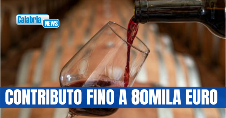 Regione, pubblicato “Avviso investimenti per campagna vitivinicola 2025-2026”