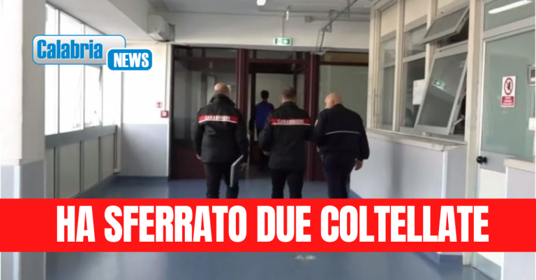 Lamezia, lite tra condomini per un parcheggio sfocia in tentato omicidio: arrestato 21enne