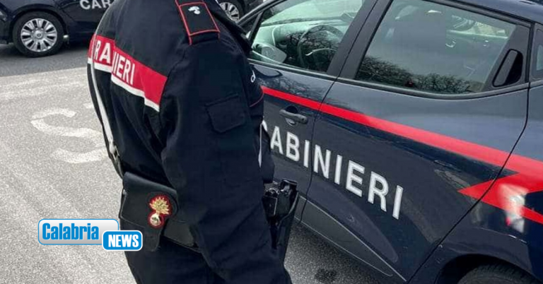 Isola Capo Rizzuto, picchia la madre e le prende i soldi: 18enne denunciato e allontanato da casa
