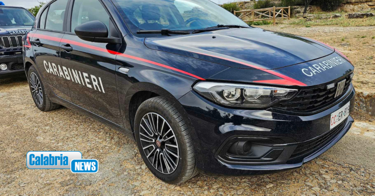 Nuova intimidazione a imprenditore edile Vibonese: ignoti hanno tentato di incendiare un mini escavatore