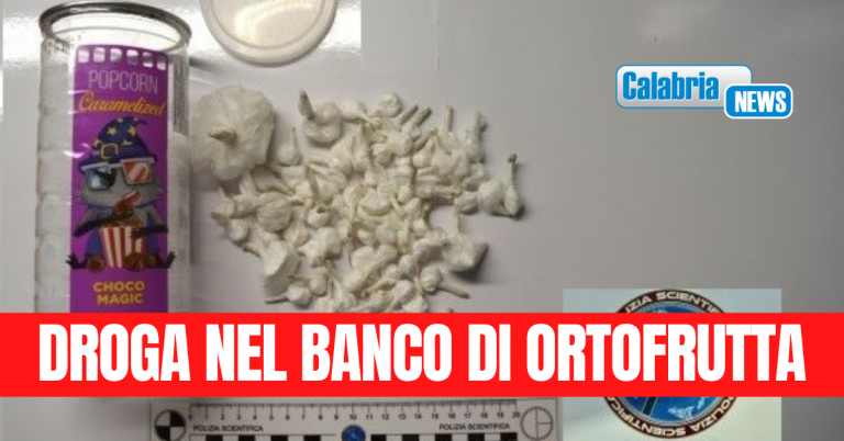 Catanzaro, detenzione a fini di spaccio di cocaina: due persone arrestate in flagranza di reato