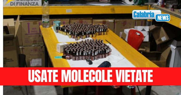 VIDEO-Operazione Calabria-Roma: sequestrati 56mila prodotti cosmesi dannosi per salute, 6 denunce
