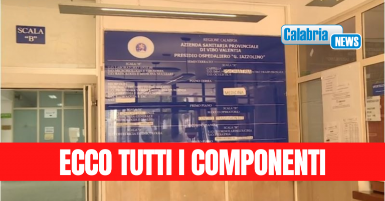 Asp Vibo nomina commissione d’inchiesta su morte di Martina Piserà al settimo mese di gravidanza